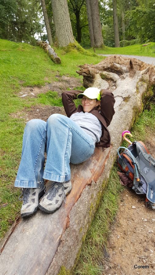 מנוחה וצחוק